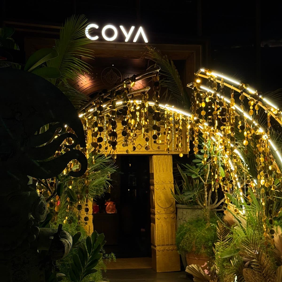 Coya - Photo 4