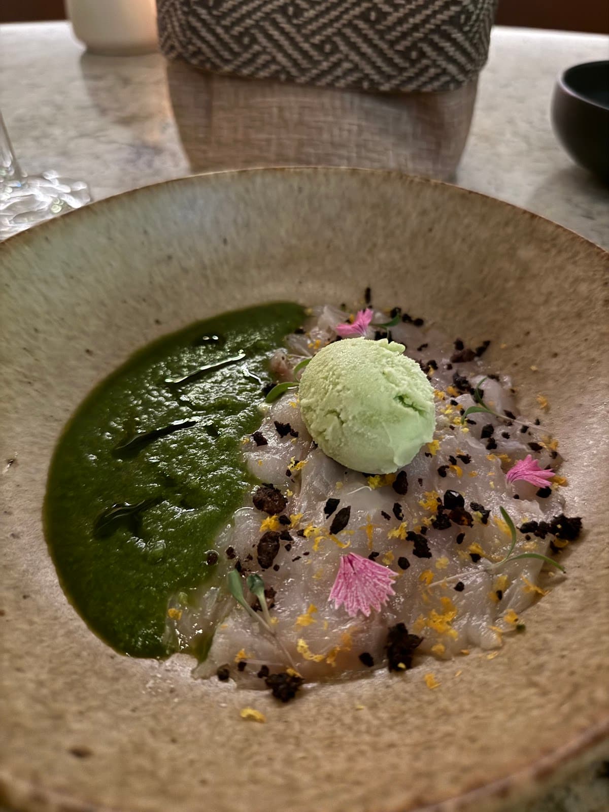 Girl and the Goose - Photo 6